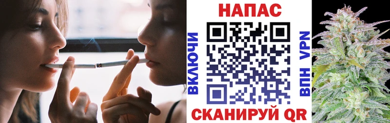 OMG Торжок Конопля семена